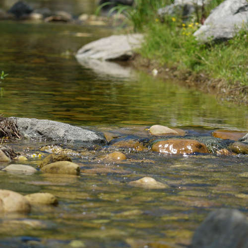 Traitement des eaux usées